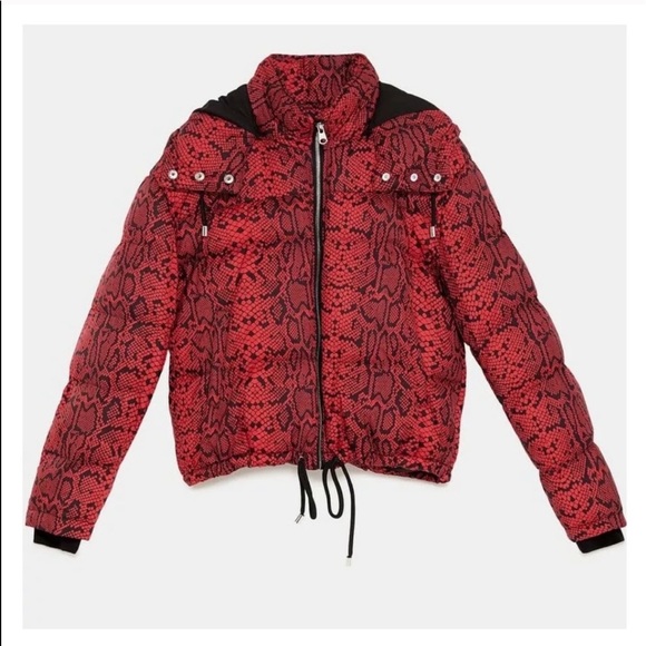 zara snakeskin puffer